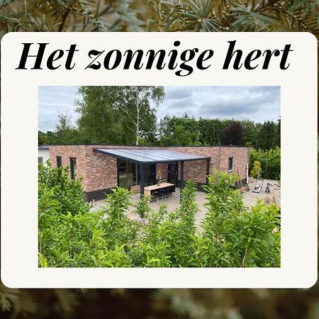 Het Zonnige Hert Ermelo Bagian luar foto
